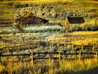 USA-Colorado Infrared of old barn along Last Dollar Road Art Print